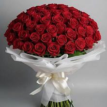 Букет 101 Красная роза Блэк Мэджик в Гуеве