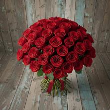 Букет 55 Красных роз Фридом #REPLACE_PRED# Гуеве