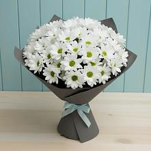 Букет цветов из:  Хризантемы в Гуеве