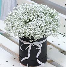 Цветочная композиция из Гипсофила в шляпной коробке #REPLACE_PRED# Гуеве