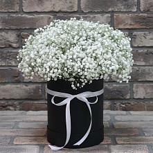 Цветочная композиция из Гипсофила в шляпной коробке в Гуеве