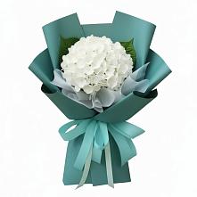 Букет цветов из:  Гортензия #REPLACE_PRED# Гуеве
